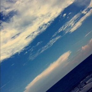 Meet your Posher, Zoey